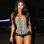 Black Corset with Animal Print PU Leather & Eyelet Lace-Up Front – Sexy Crop Top for Women