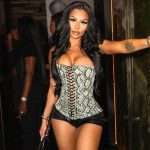 Black Corset with Animal Print PU Leather & Eyelet Lace-Up Front – Sexy Crop Top for Women